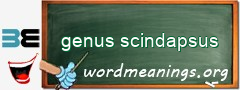 WordMeaning blackboard for genus scindapsus